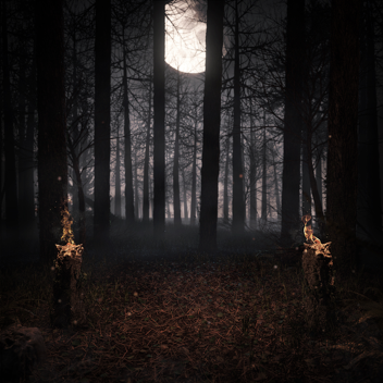 Scary Forest