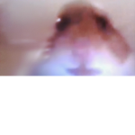 hamster cult soilders