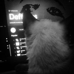 ﹒