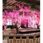 Yumi Japanese Resturant