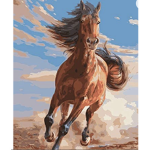 -summer riding academy-