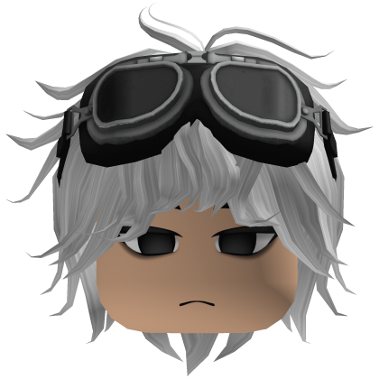 Fluffy Boy Hair W/ Goggles and Face Roblox item