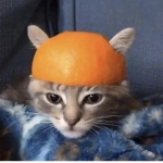 ikitty army