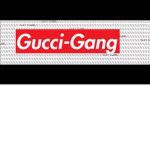 GUCCI GANG $$$$$