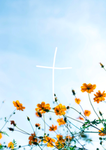 christanxAesthetics
