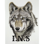 I.N.S
