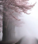 heavensinxz