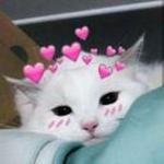 ルビン