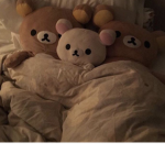 Bear Cottage! <3