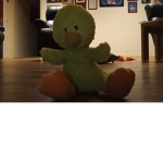 Join the little ducky group now!!!