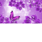 - Butterfly $tudios -