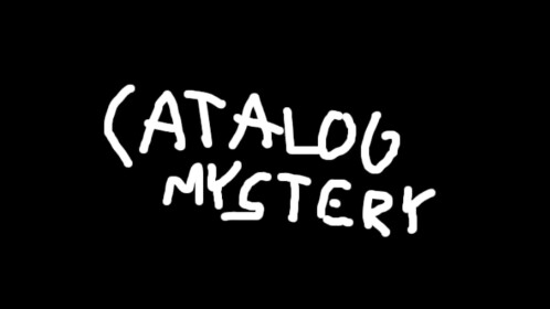 🛒Catalog Mystery!