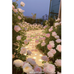 aesthetic and chill!