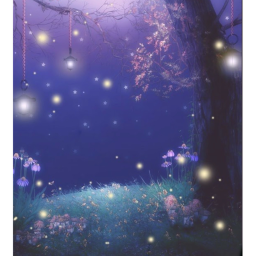 ✨