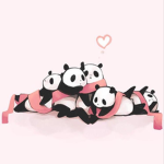 Panda bff
