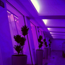 Vibe Place