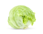 Iceberg Lettuce Fan Group