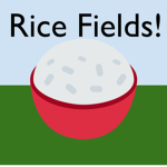 Rice Fields!
