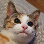 Narlaaaa