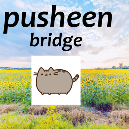The Bridge of Pusheens