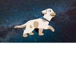 Warrior cats (reborn)