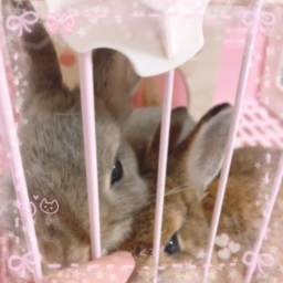 ♡