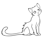 Cat Meme Clothing