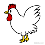 chicken makes