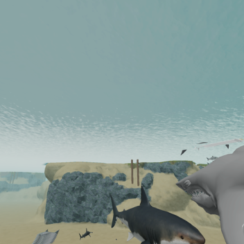 CAN YOU KILL THE SHARK 3(under construction)