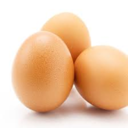 Egg lnc. Arctic Research Facility