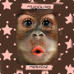 Meddling Monkeyz