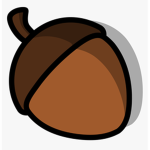 Nut Studio