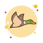 The Duckies of Quak Quak