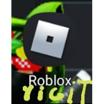 Roblox y i g i t