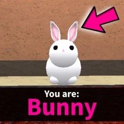BUNNY icon