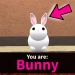 BUNNY icon