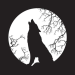 Wolf Studios’