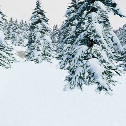 Winter Land