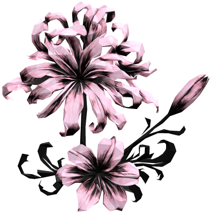 ヒガンバナ pale pink spider lily hair flower