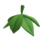 🍓 Cute Green Strawberry Leaf 🍃