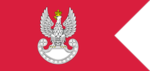 1st Mechanized Infantry Company