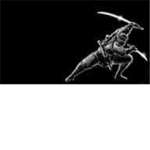 the only ninjas