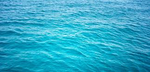 100% pure water