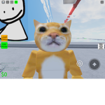 catgroupbyprocat