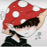 I funghi<3