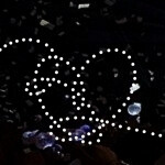 ･ﾟ: * ♡･ﾟ:･*･