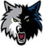 Ninjas of the wolf