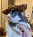SAL'S COWBOY HIDEOUT