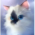 *Kitty Club*