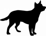 The Black Dog Gaming Fan Group